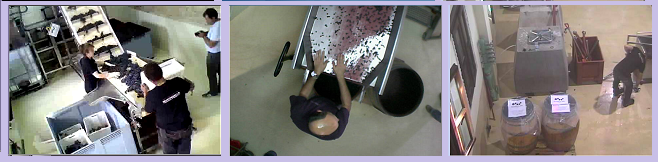 SingularWINE aplica Makingonline en el mundo del Vino.